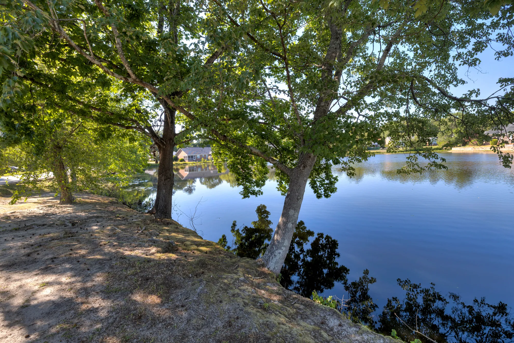 Cumberland East — community pond framed by mature trees